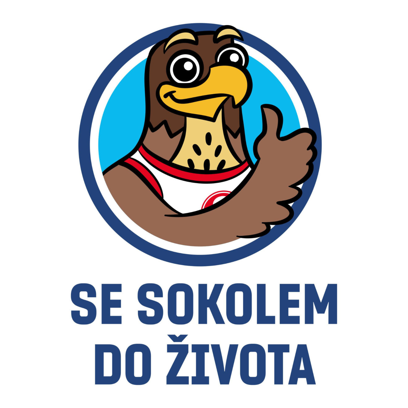 Projekt Se Sokolem do života